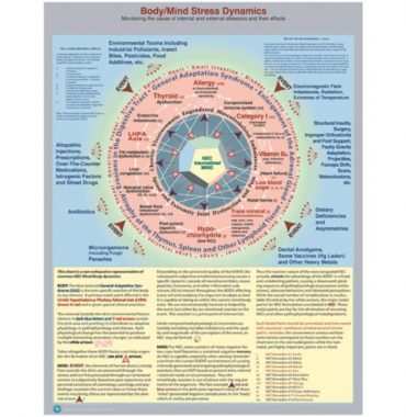 Body/Mind Stress Dynamics Chart