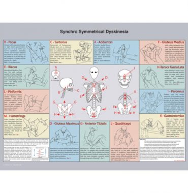 Synchro Symmetrical Dyskinesia Chart